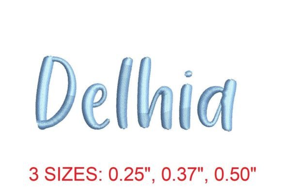 Elegant Delhia Embroidery Font for Your Shop