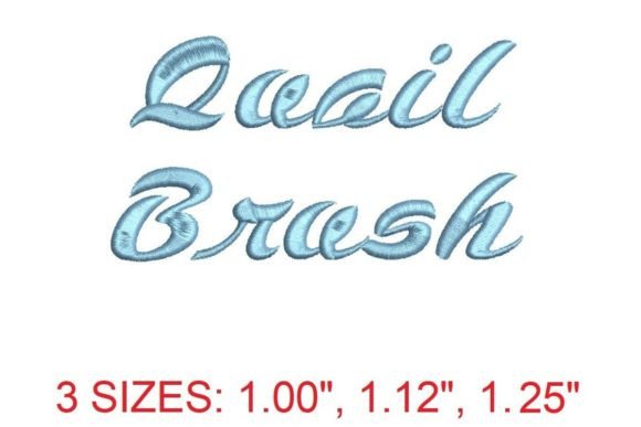 Quail Brush Font: A Designer’s Review